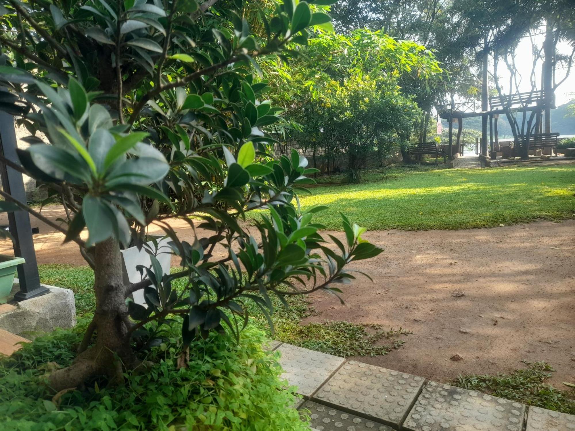 Shashin Lake Resort Dambulla Kültér fotó