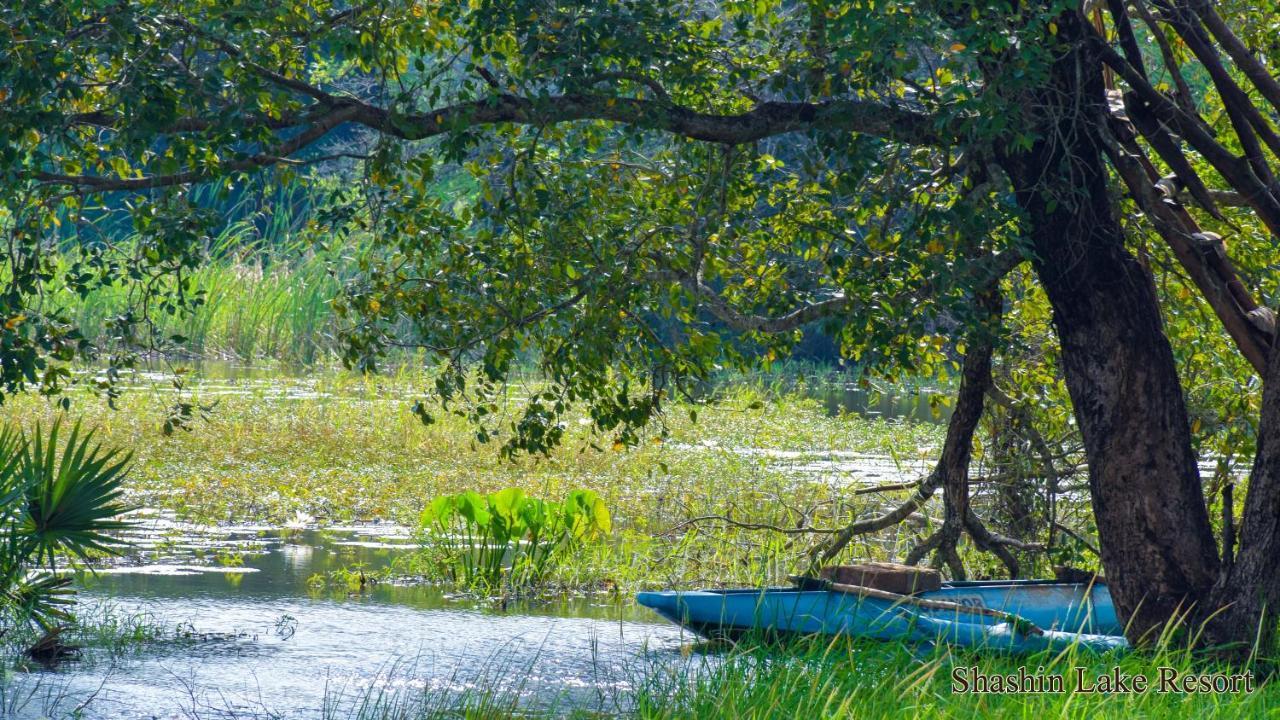 Shashin Lake Resort Dambulla Kültér fotó